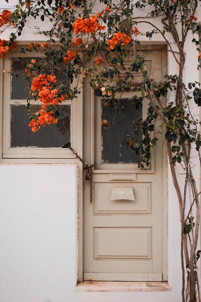 Beautiful rustic doorway adorned with vibrant orange bougainvillea in Lagos, Portugal.